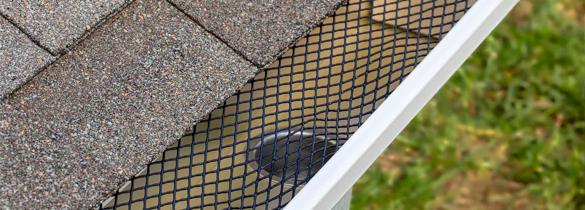 Gutter Services